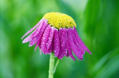 לחשוב טוב זה חשוב