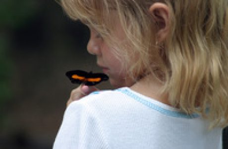 הילדים מחפשים משמעות